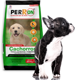 Perron Cachorro